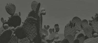 Банкротство без последствий - не нужно уезжать